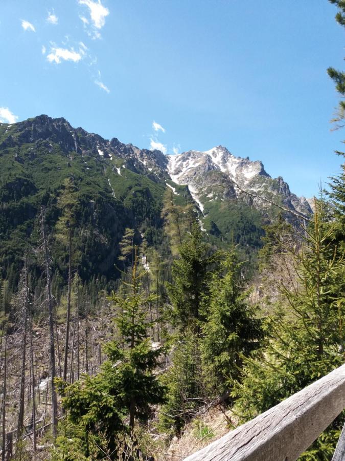 Hotel Privat Tatry Dreams Nová Lesná Esterno foto